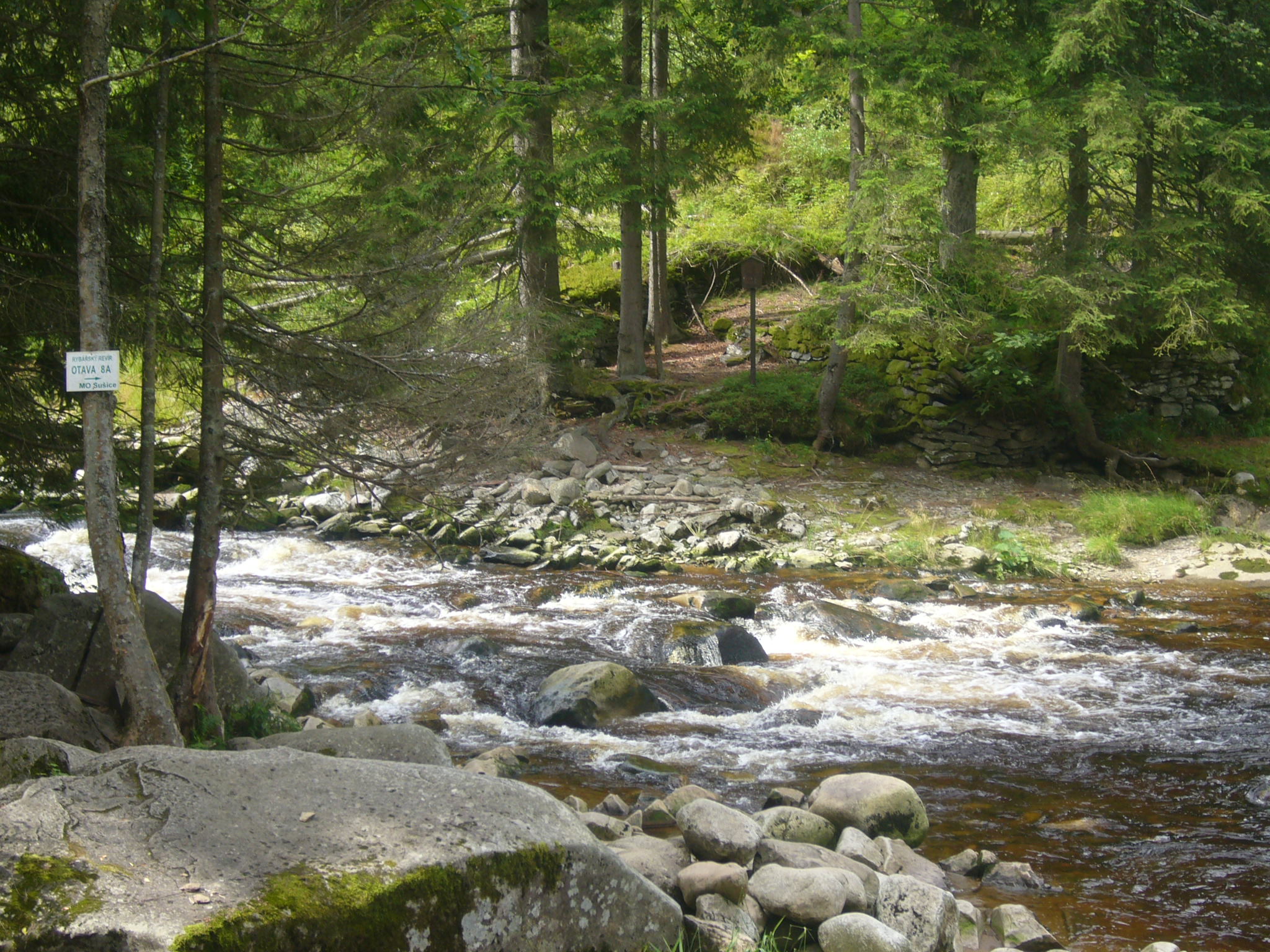 2011_07_Voda Sumava 018